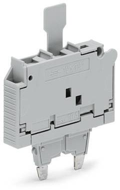 Grauer Sicherungshalter mit Hebel, max. 10A. Hauptsächlich in elektrischen Schaltungen verwendet, um die Sicherheit zu gewährleisten.