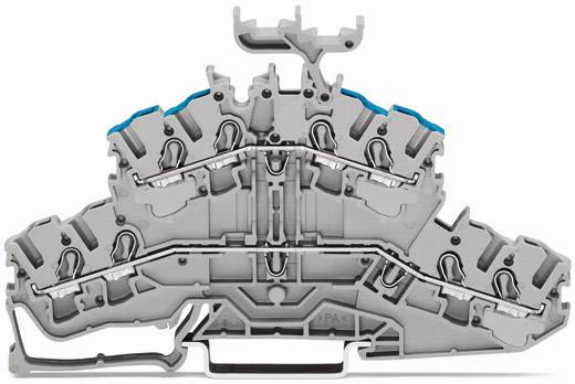 WAGO 2002-2433 Vierleiter-Durchgangsklemme 5.20mm Push-In-Klemme Grau 50St.
