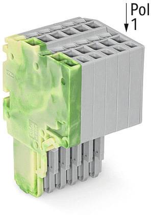 Steckverbinder mit grünem und grauem Gehäuse, markiert mit 'Pol 1'. Wird für die elektrische Verbindung verwendet.