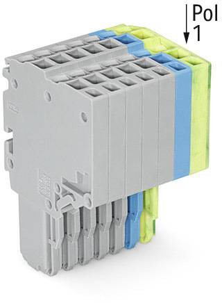 Eine mehrfarbige elektrische Steckverbindungseinheit mit beschriftetem Pol '1', bestehend aus grauen, blauen und grünen Elementen.