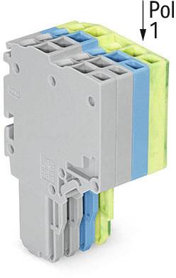 Grauer elektrischer Steckverbinder mit blauen und gelben Elementen, beschriftet mit 'Pol 1'.