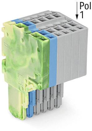 Ein elektrischer Steckverbinder mit mehreren grauen Buchsen, eingefasst in ein grünes und blaues Gehäuse. Markierung 'Pol 1' oben rechts.