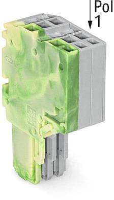 Ein grüner und grauer elektrischer Steckverbinder mit mehreren Polen, beschriftet als 'Pol 1', wird in einer schrägen Ansicht gezeigt.
