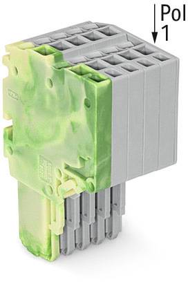 Ein grüner und grauer elektrischer Steckverbinder in Polform, mit der Aufschrift 'Pol 1', vor weißem Hintergrund.