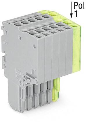 'Stecker-Modul mit 5 grauen und 2 gelben Steckplätzen, markiert mit 'Pol 1', für elektrische Verbindungen.'