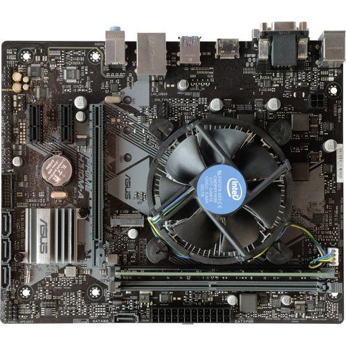 Asus PC Tuning-Kit Intel® Pentium® Gold G5400 (2 x 3.7 GHz) 4 GB Intel HD Graphics 610 Micro-ATX