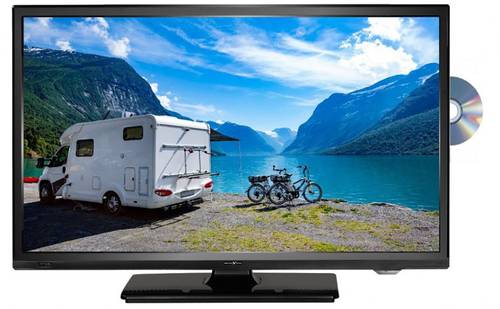 Reflexion LDDW20N LED-TV 49.5cm 19.5 Zoll EEK A (A++ - E) DVB-T2, DVB-C, DVB-S, HD ready, DVD-Player