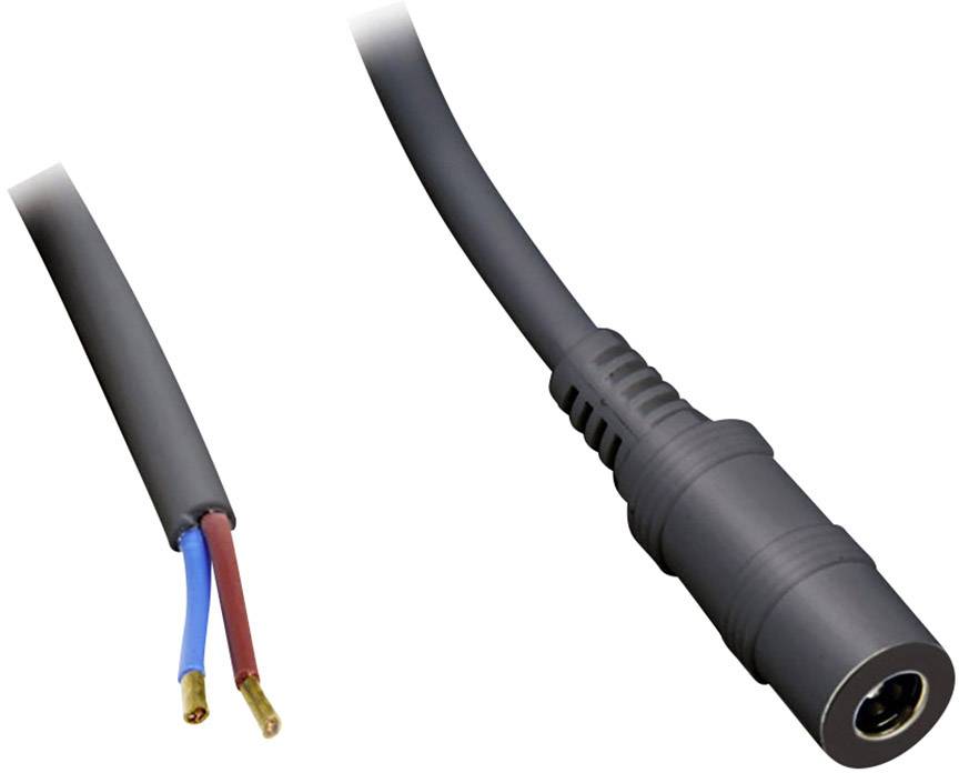 Schwarzes Audiokabel mit zwei offenen Aderendhülsen (blau und rot) und einer Klinkenbuchse am anderen Ende.