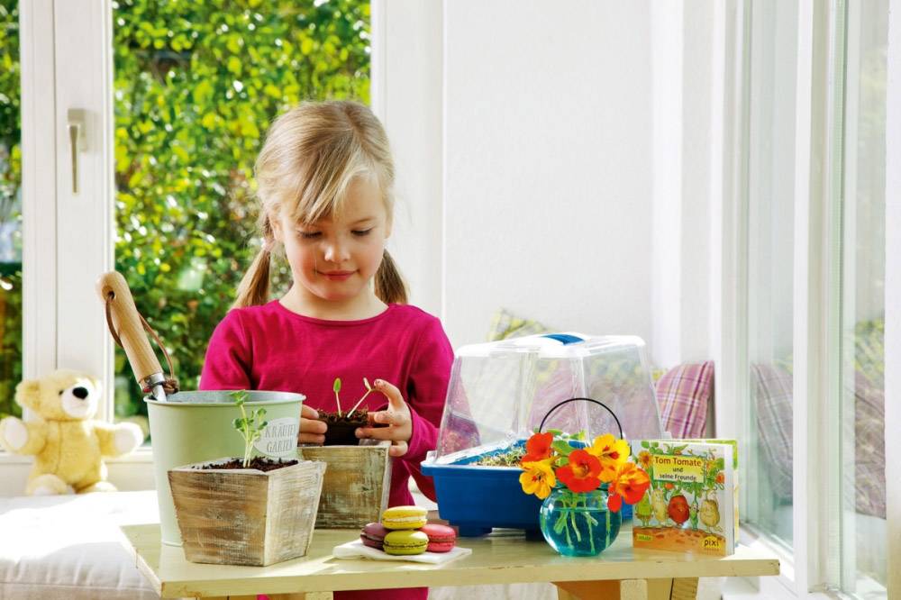 TOM TOMATE Kindergewächshaus 14094205