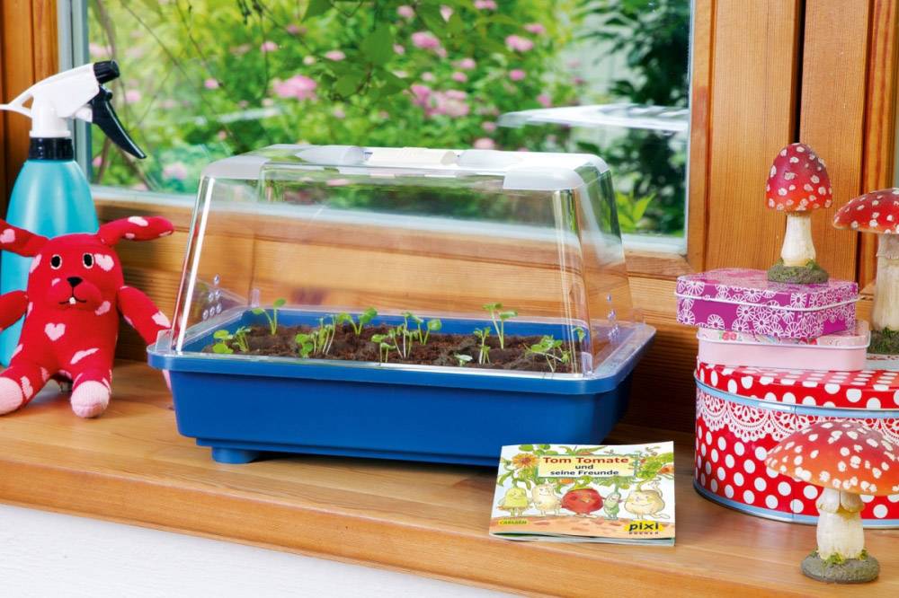 TOM TOMATE Kindergewächshaus 14094205