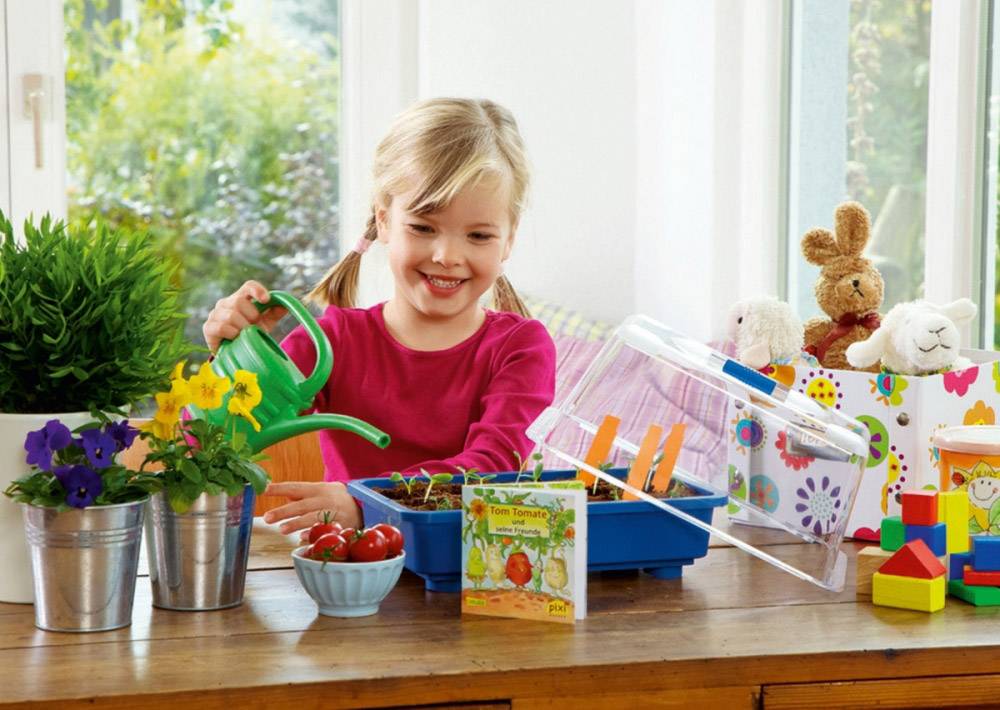 TOM TOMATE Kindergewächshaus 14094205