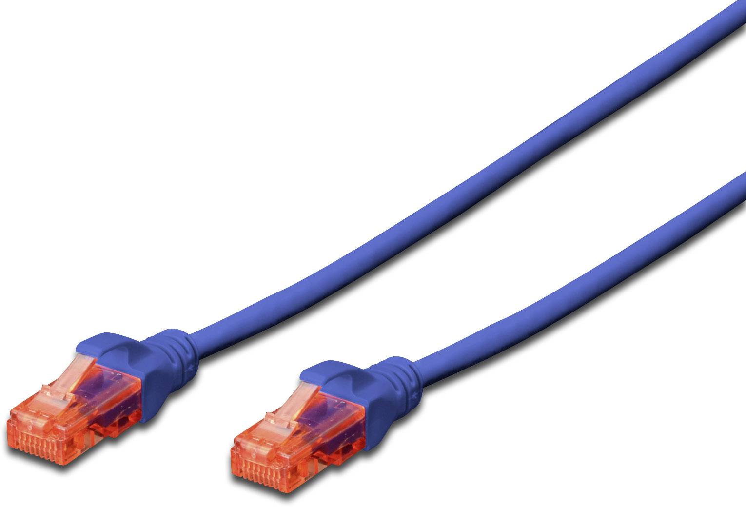 Ein blaues Ethernet-Kabel mit zwei orangefarbenen Steckern an beiden Enden.