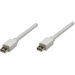 Manhattan Mini-DisplayPort Anschlusskabel Mini DisplayPort Stecker, Mini DisplayPort Stecker 1.00m Weiß 324557 vergoldete