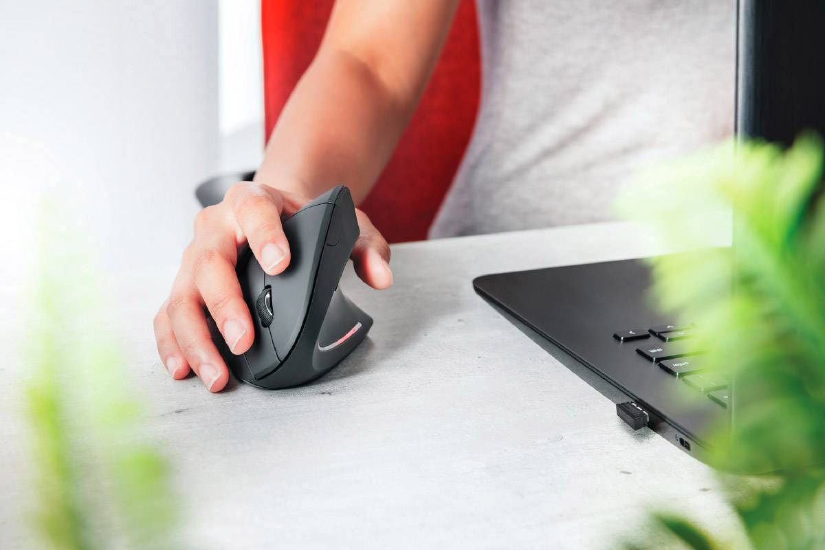 Trust Verto Ergonomische Maus Funk Optisch Grau 6 Tasten 1600 dpi Ergonomisch