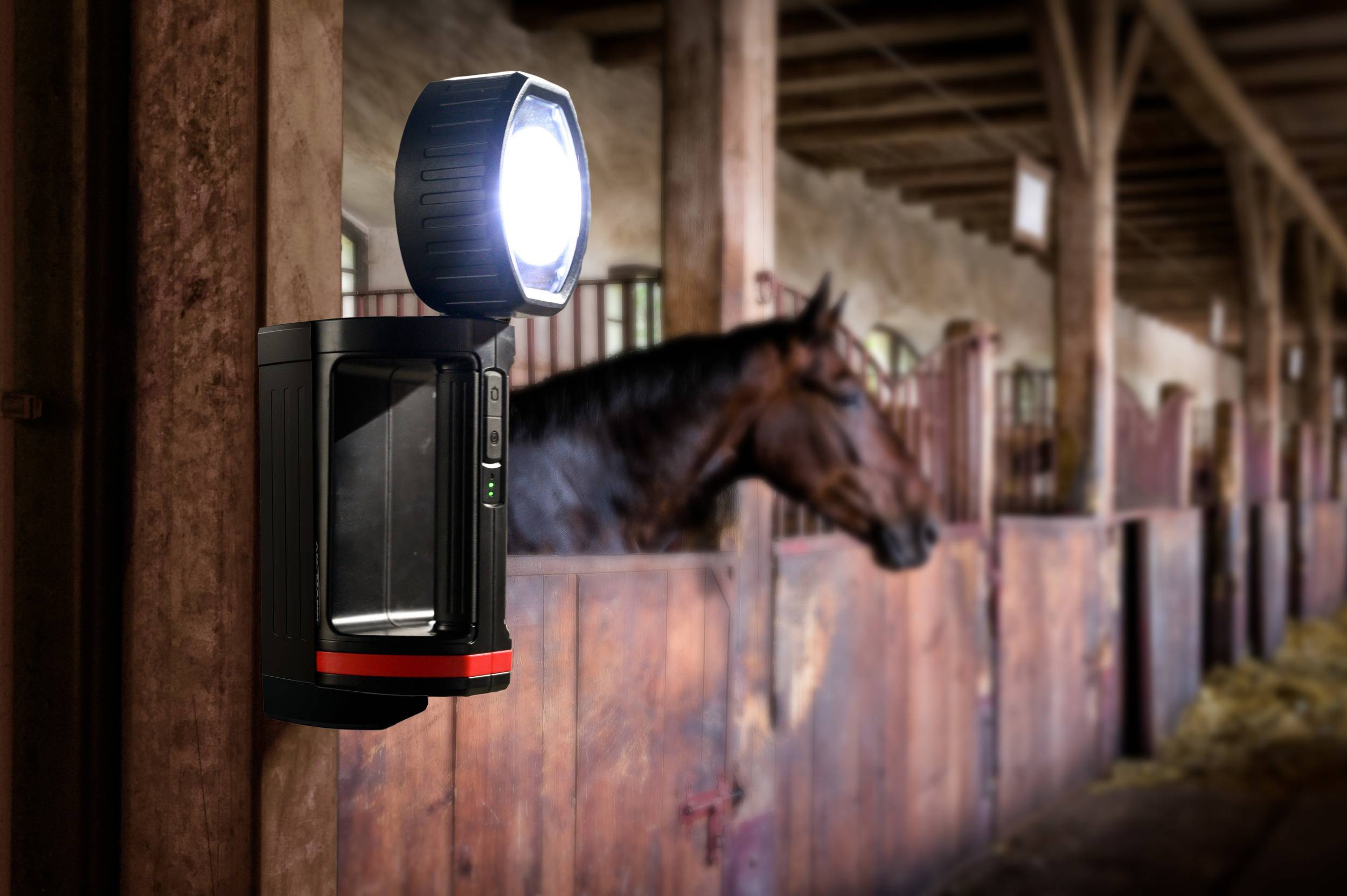 'Leuchte in einem Stall' zeigt, wie eine beleuchtete Lampe an einer Holzwand in einem Pferdestall montiert ist, während ein Pferd im Hintergrund steht.