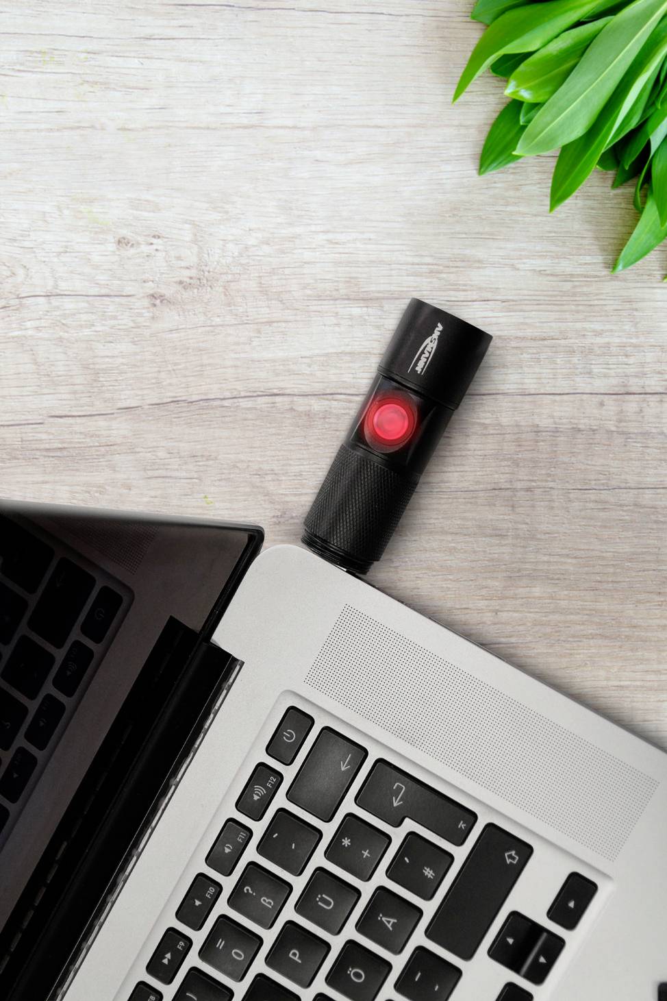 USB-Stick mit roter LED in einen Laptop eingesteckt, umgeben von grünen Blättern auf einem Holztisch.