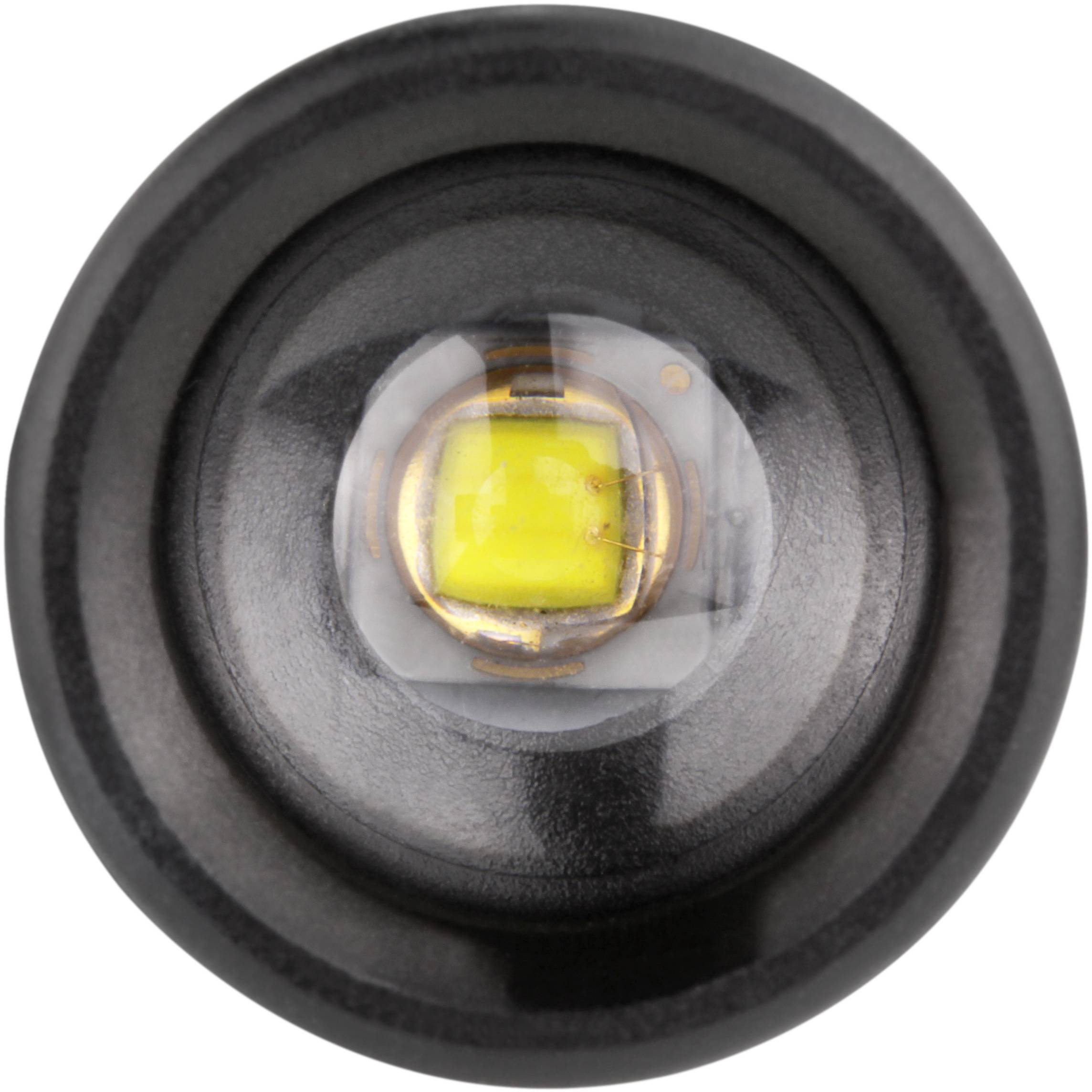 Ansmann T60F LED Taschenlampe batteriebetrieben 55lm 0.8h