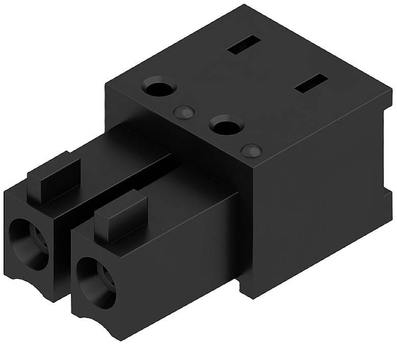 Ein schwarzer elektrischer Steckverbinder mit zwei Eingängen und zwei Löchern auf der Oberseite, geeignet für Netzkabel-Verbindungen.