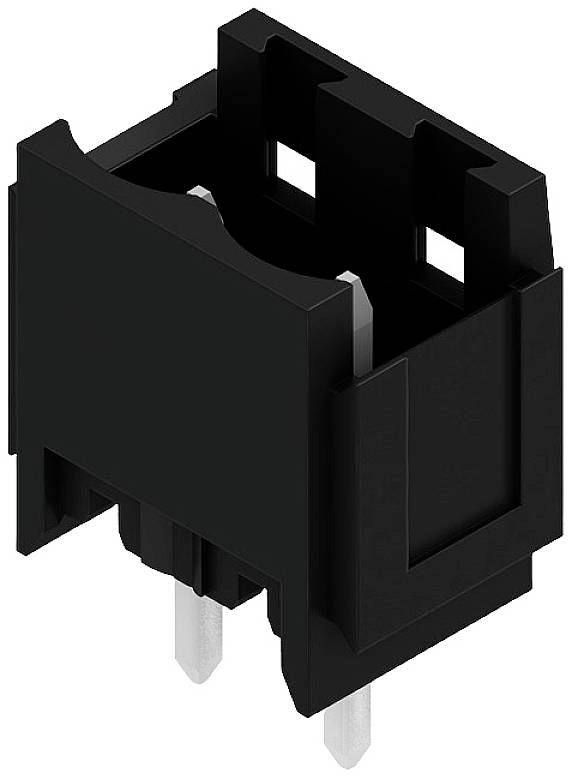 Ein schwarzer, rechteckiger elektrischer Steckverbinder mit zwei sichtbaren Metallstiften, geeignet zur Montage auf Platinen.