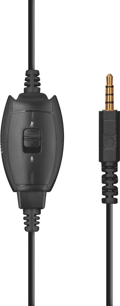 Trust GXT404B Rana Gaming Over Ear Headset kabelgebunden Stereo Schwarz, Blau Mikrofon-Rauschunterdrückung Lautstärkeregelung