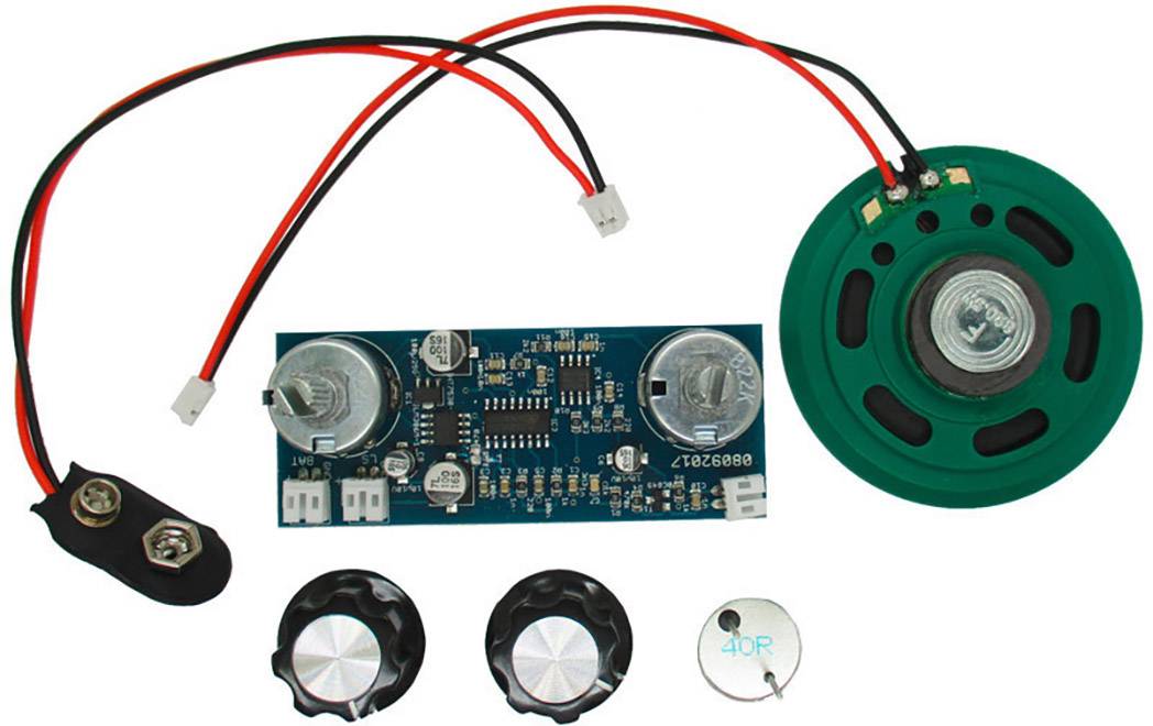 FRANZIS 67013 Fledermausdetektor zum Selberbauen Bausatz ab 14 Jahre