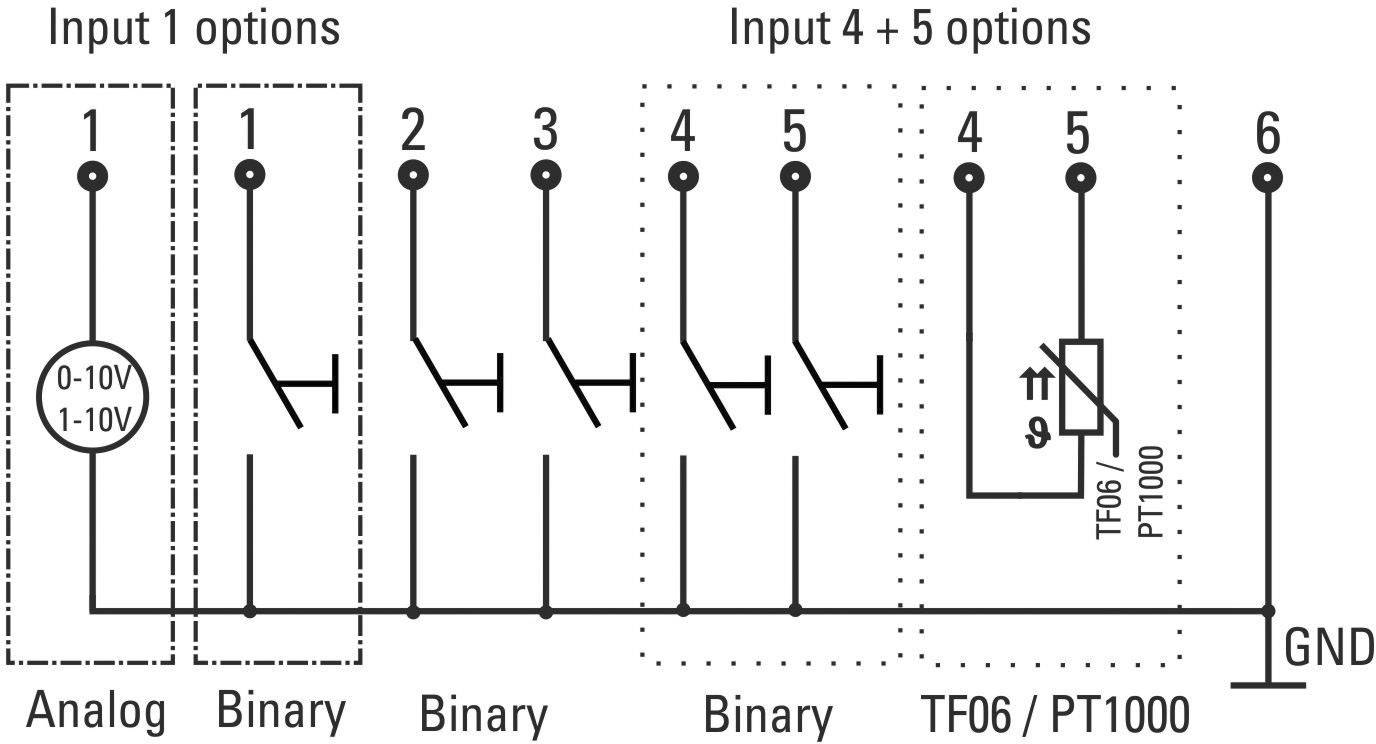Schaltschema mit 6 Eingängen. Eingang 1: analog oder binär. Eingänge 2-3: binär. Eingänge 4-5: TF06/PT1000 Optionen. Eingang 6: GND.