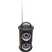 MSA Musikinstrumente KBQ4 Bluetooth® Lautsprecher AUX, FM Radio, SD, USB Schwarz, Grün