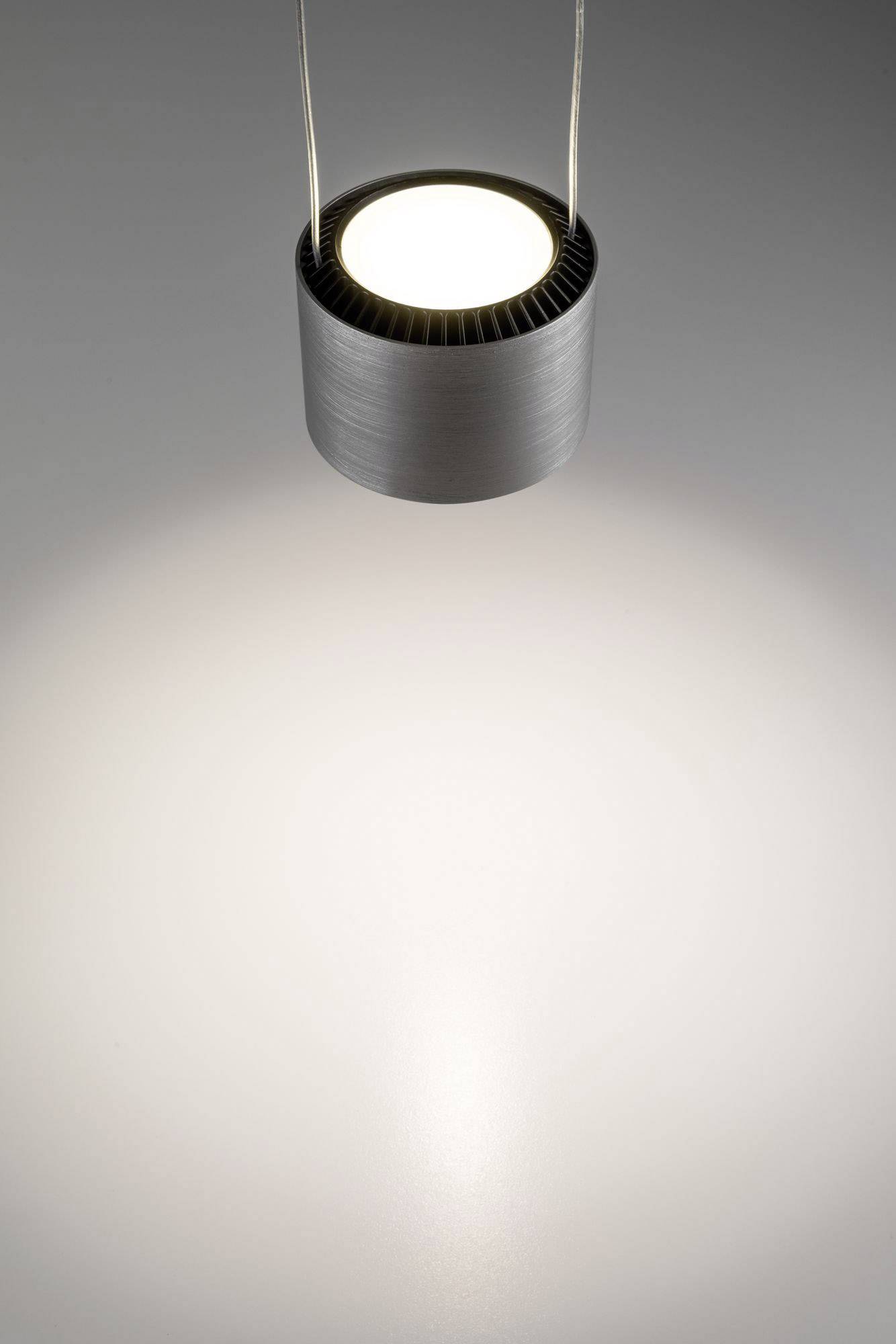 Paulmann Aldan 79720 LED-Pendelleuchte 15W Aluminium, Schwarz