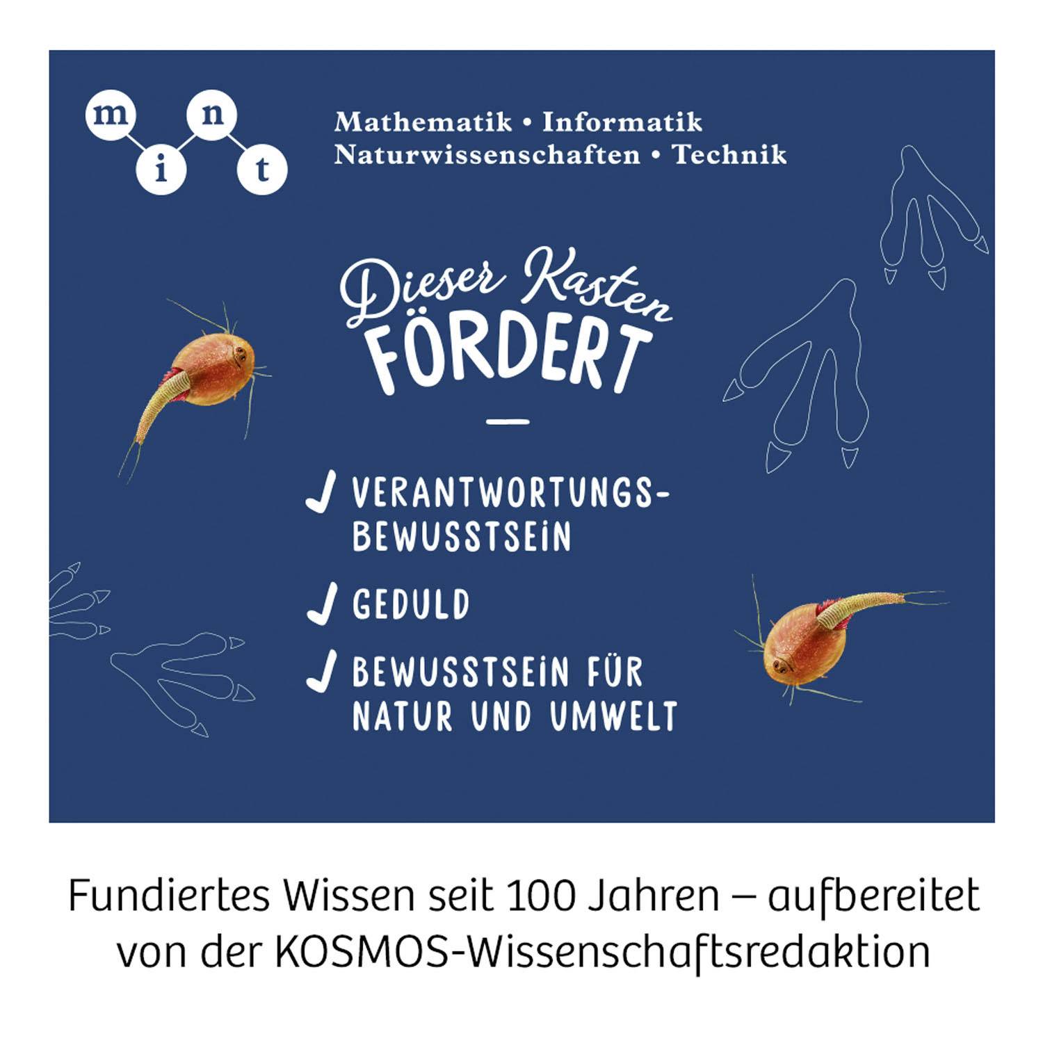 Kosmos 633097 Triops züchten Triops züchten & Natur Experimentier-Set ab 8 Jahre