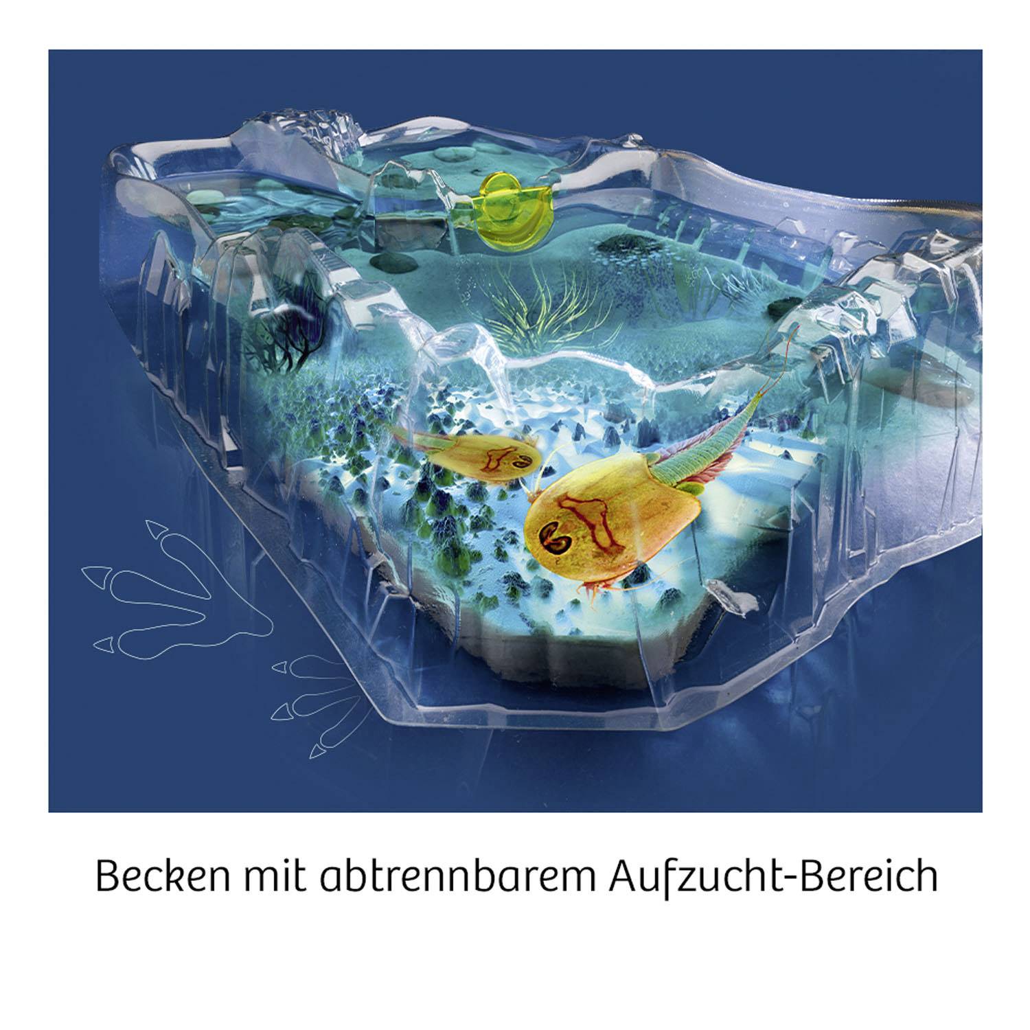 Kosmos 633097 Triops züchten Triops züchten & Natur Experimentier-Set ab 8 Jahre