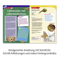 Kosmos 633097 Triops züchten Triops züchten & Natur Experimentier-Set ab 8 Jahre Kosmos 633097 Triops züchten Triops züchten & Natur Experimentier-Set ab 8 Jahre