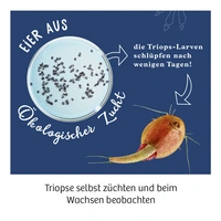 Kosmos 633097 Triops züchten Triops züchten & Natur Experimentier-Set ab 8 Jahre Kosmos 633097 Triops züchten Triops züchten & Natur Experimentier-Set ab 8 Jahre