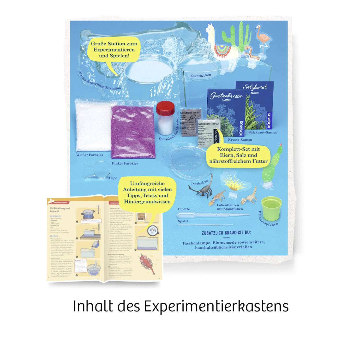 Kosmos 633264 Salzkrebse Biologie Experimentier-Set ab 8 Jahre