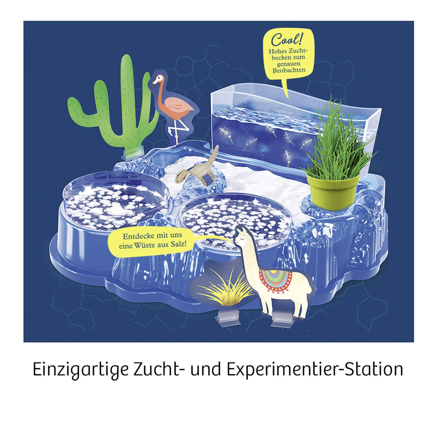 Kosmos 633264 Salzkrebse Biologie Experimentier-Set ab 8 Jahre