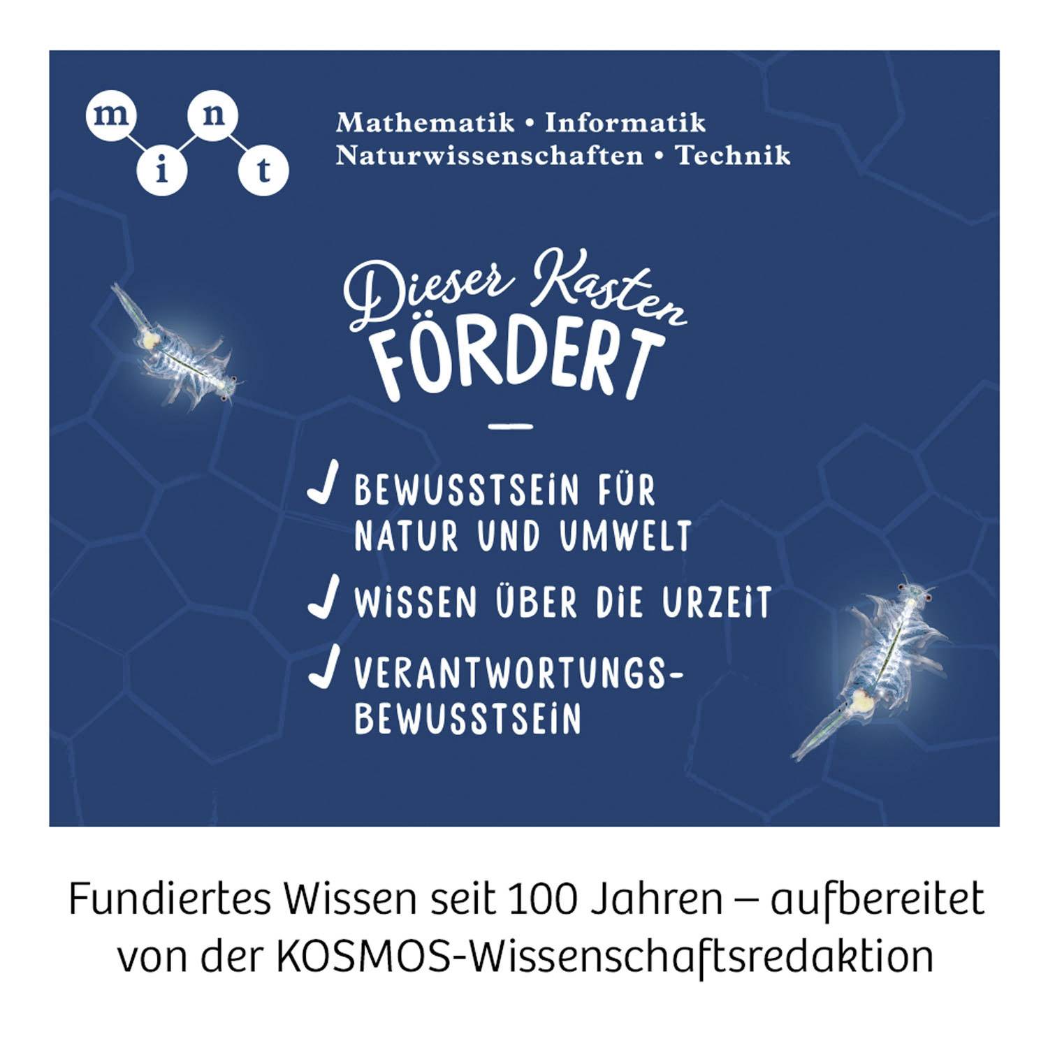 Kosmos 633264 Salzkrebse Biologie Experimentier-Set ab 8 Jahre