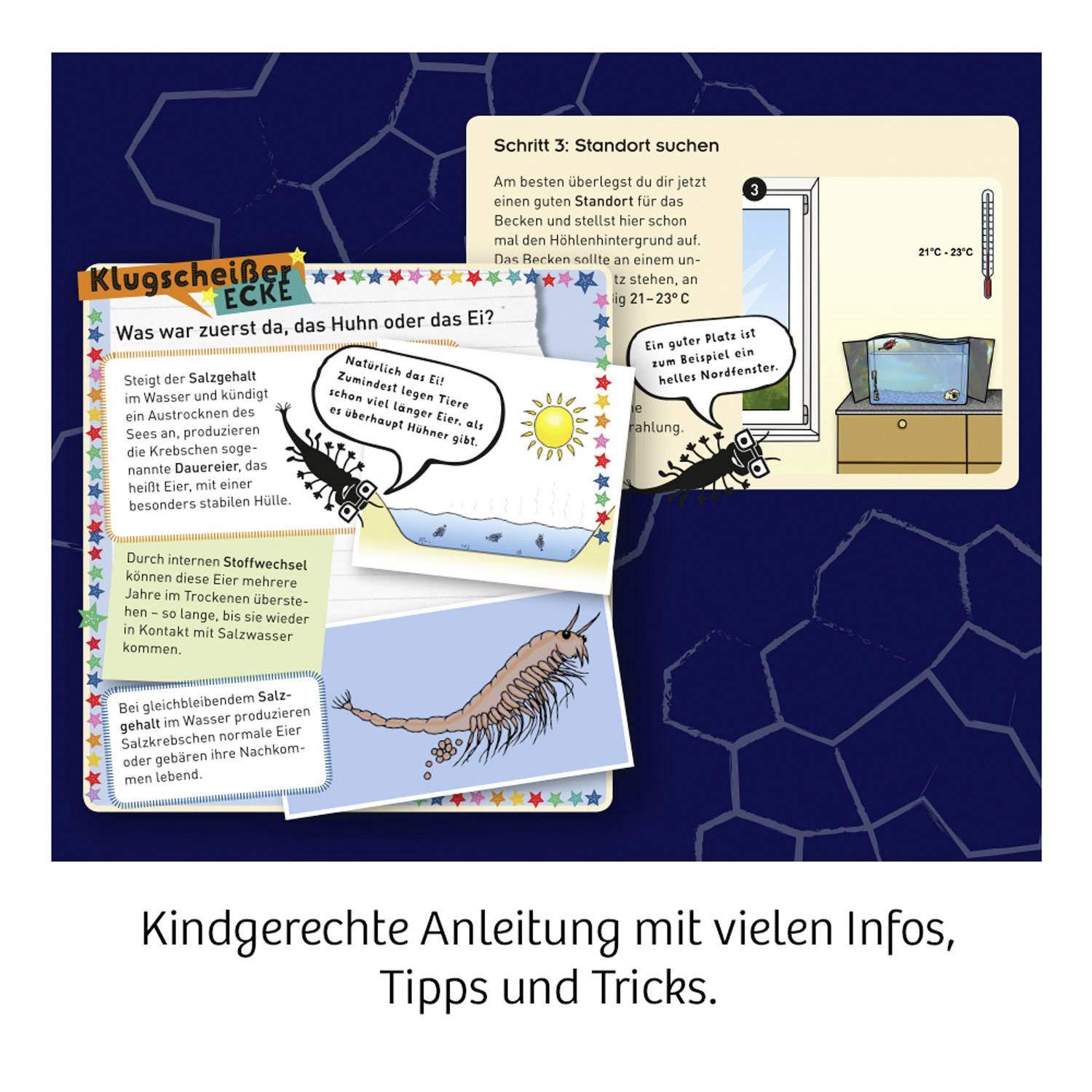 Kosmos 654160 FunScience Wuselnde Salzkrebse Biologie Experimentierkasten ab 8 Jahre