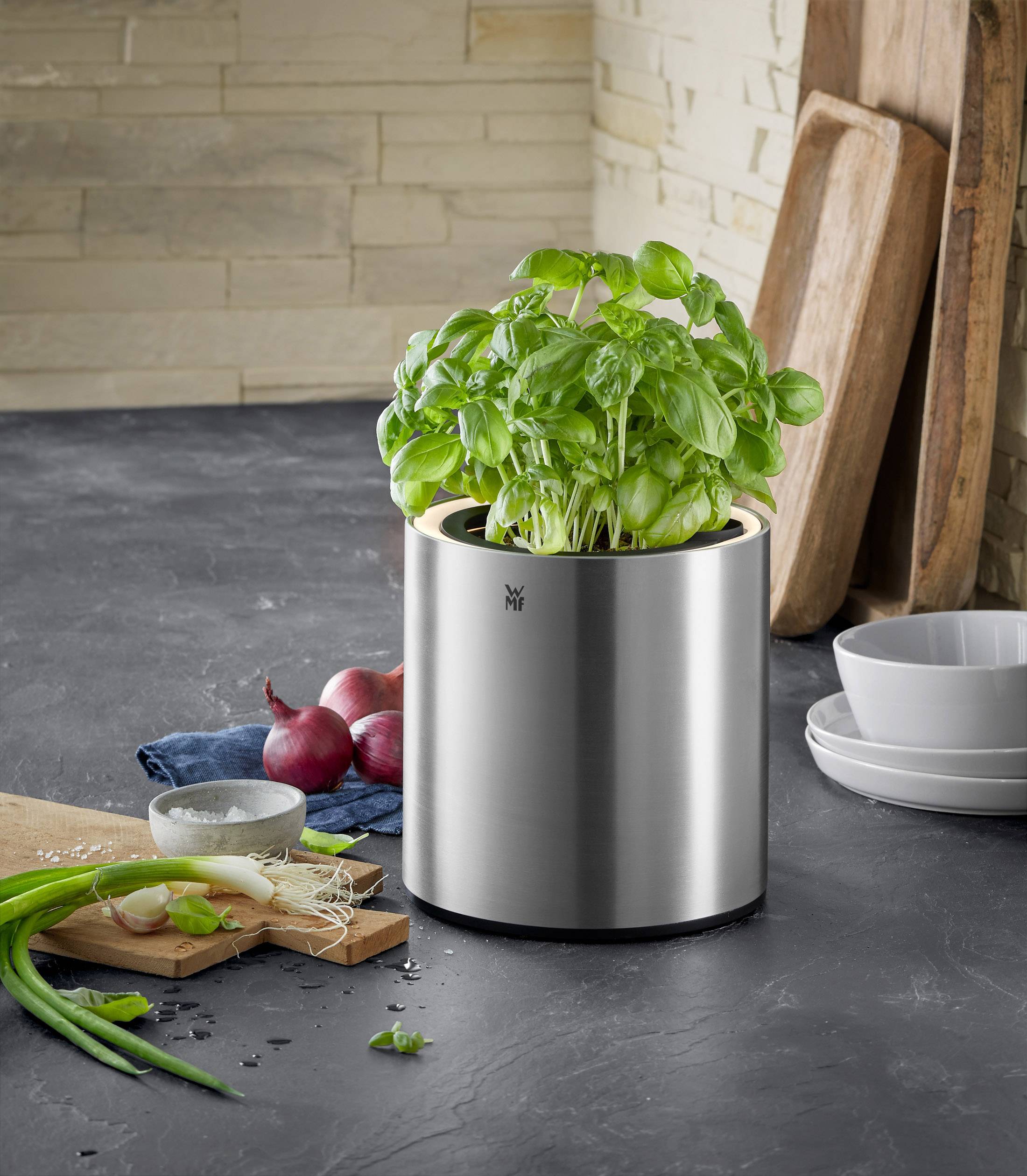 WMF 0419020011 WMF Ambient Kräuter @home Single