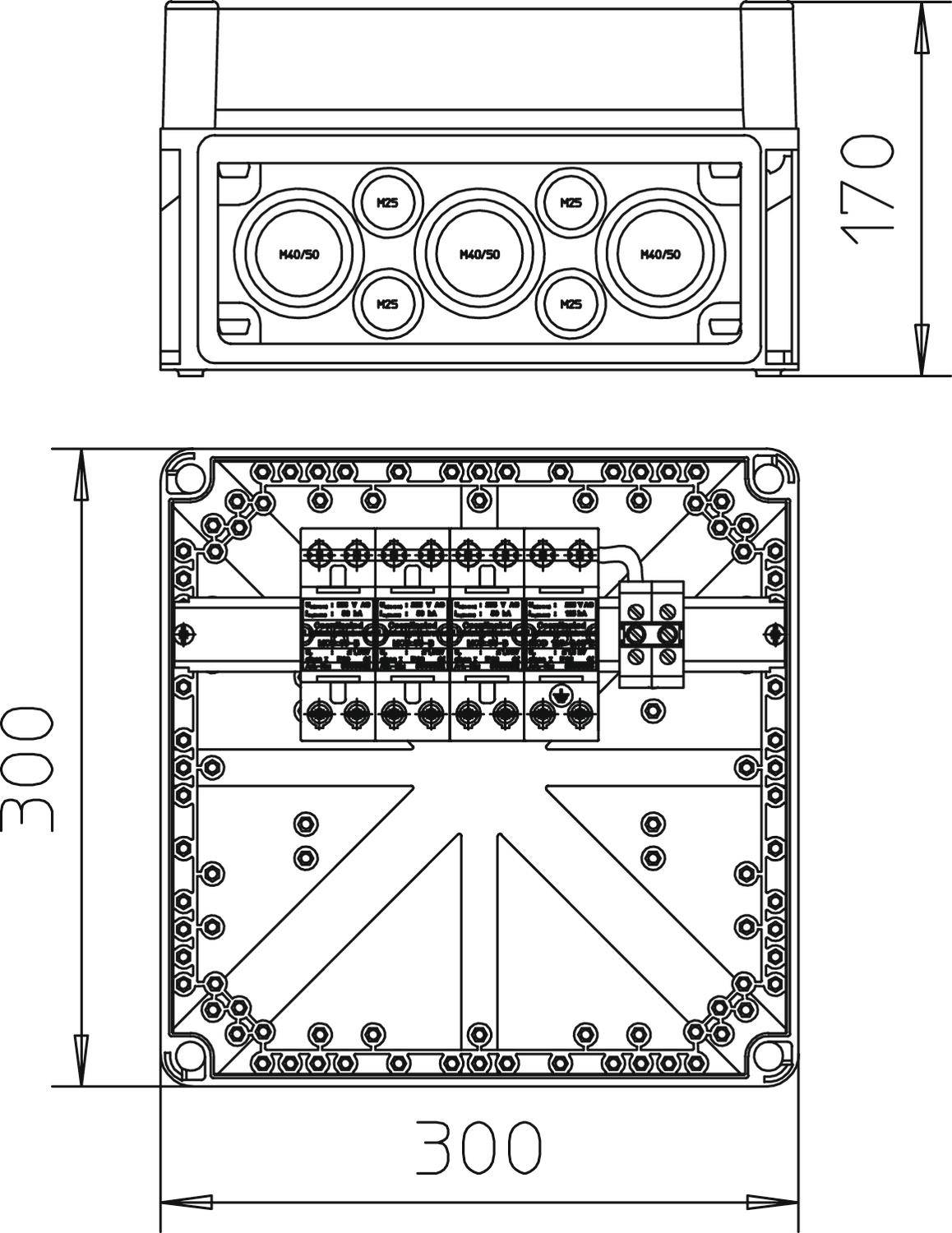 Technische Zeichnung eines elektrischen Gehäuses mit Maßen: 300x300x170 mm. Zeigt Innenansicht mit Anschlüssen und Außenansicht.