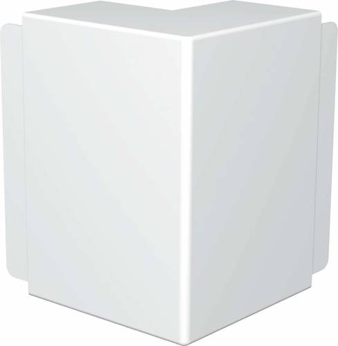 OBO Bettermann 6192420 Montagezubehör (B x H) 210mm x 80mm 2 St. Reinweiß