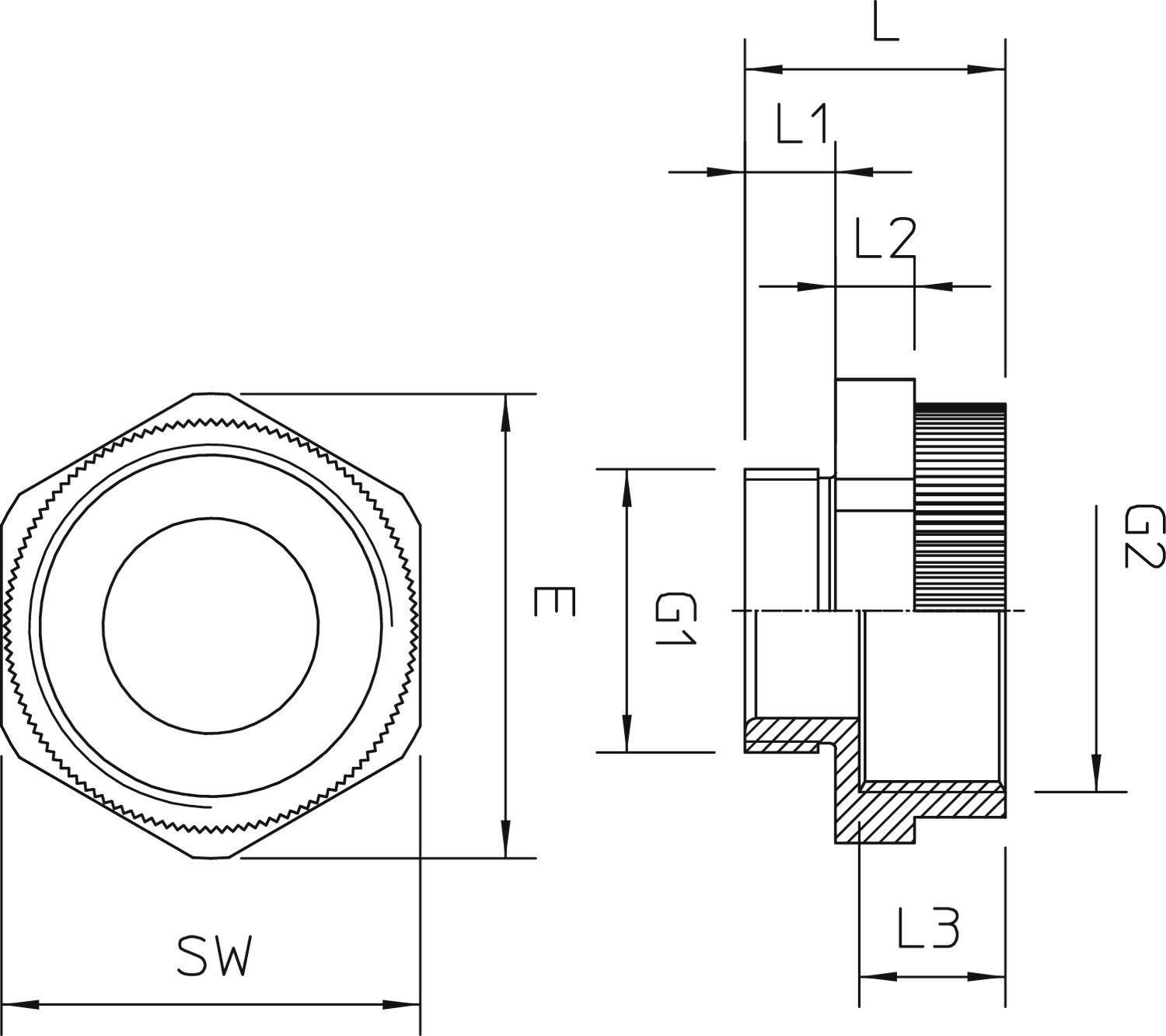 Technische Zeichnung einer Schraubverbindung mit Maßen: SW, E, G1, G2, L, L1, L2, L3. Zeigt Detailansicht und Seitenansicht.