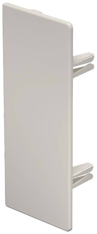 Weiße Kunststoffabdeckung mit zwei hervorstehenden Halterungen, möglicherweise für Steckdosen oder Kabelkanäle gedacht.