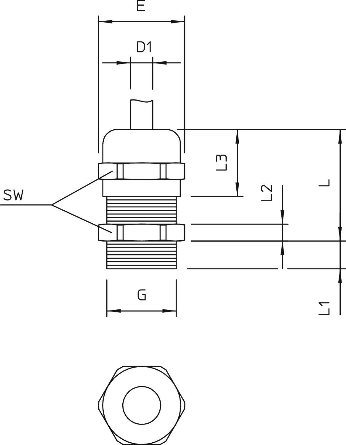 Technische Zeichnung eines Anschlusses mit Maßen: Gesamtlänge L, Abschnitte L1, L2, L3, Durchmesser D1, Schlüsselweite SW, Gewinde G.