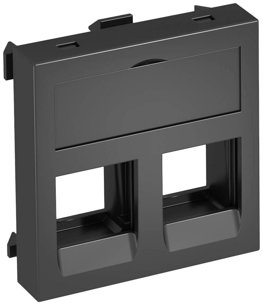 Ein schwarzes, rechteckiges Kunststoffmodul mit zwei rechteckigen Öffnungen, geeignet für elektrische oder Netzwerkverbindungen.