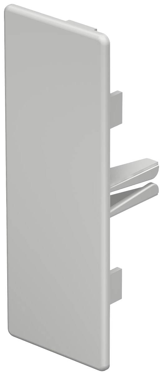 Silberfarbener, rechteckiger, plastischer Taster für elektronische Geräte mit abgerundeten Ecken und zwei seitlichen Clips.