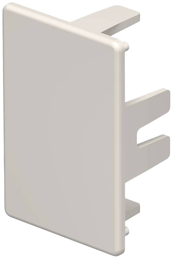 Ein rechteckiger, beiger Kunststoffstopfen mit zwei Befestigungszapfen an der Rückseite, vermutlich für Möbel oder Schrankmontage.