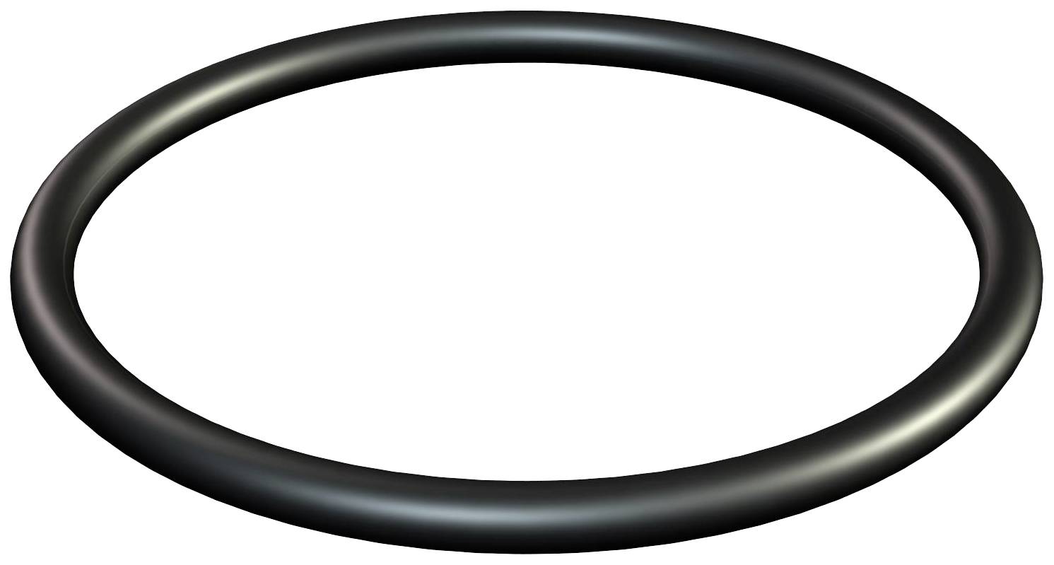 Ein schlichtes schwarzes Gummi-O-Ring auf weißem Hintergrund.
