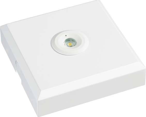 ESYLUX EN10080005 LED Fluchtweg-Notbeleuchtung Deckenmontage