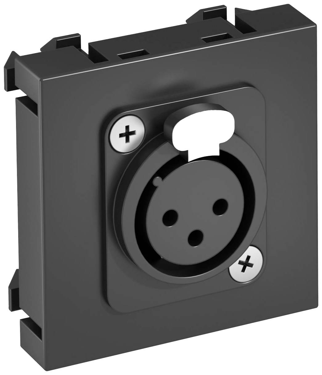 Schwarze elektrische Steckdose mit zwei Schrauben.