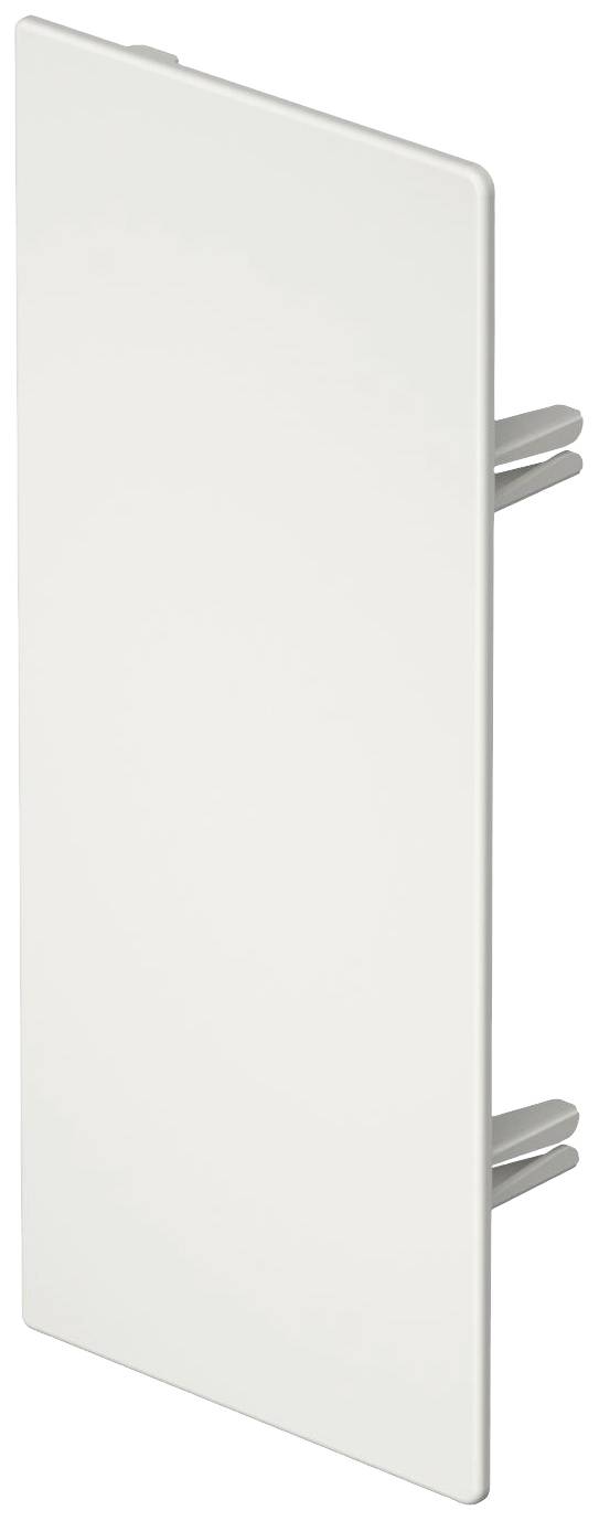 Weiße, rechteckige Abdeckung mit zwei vertikalen Befestigungsstiften an der Rückseite; vermutlich für elektrische Installationen.