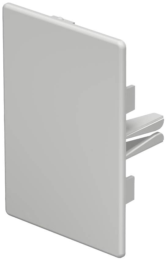 Ein weißer rechteckiger Kunststoffabdeckplatteinsatz mit Befestigungslaschen für elektrische Steckdosen oder Schalter.